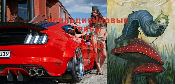 ПСИЛОЦИБИНОВЫЕ ГРИБЫ Абаза