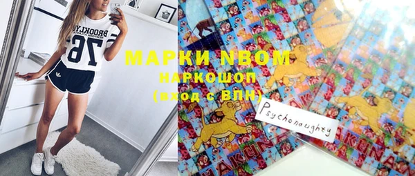 ПСИЛОЦИБИНОВЫЕ ГРИБЫ Абаза
